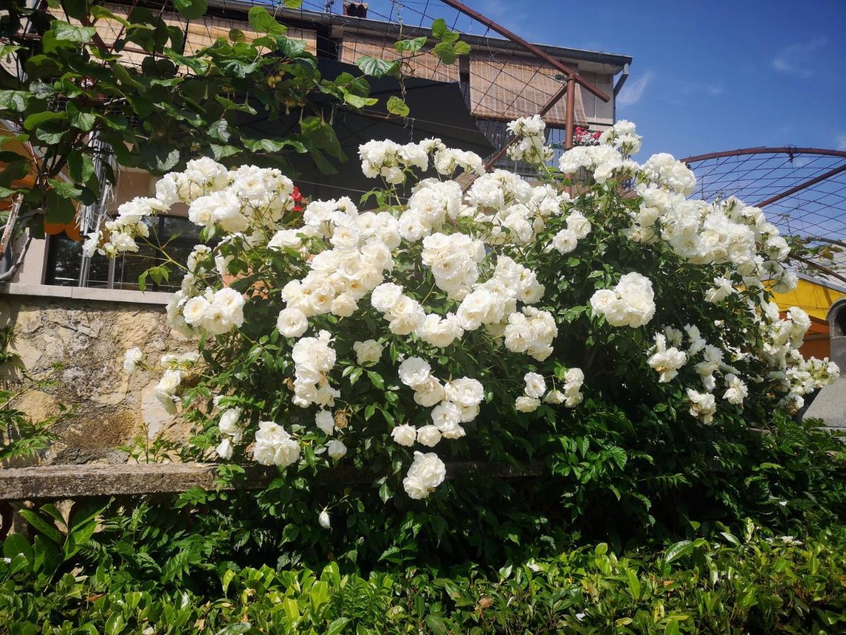 Ferienwohnung Familija Cvitkovic Funtana Exterior foto